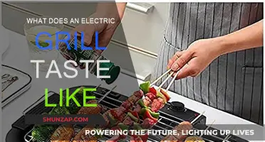Electric Grills: Taste of Summer, All Year Round