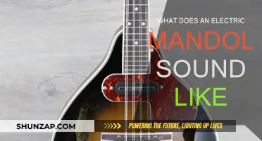 Electric Mandolin: Plugged-in Twang