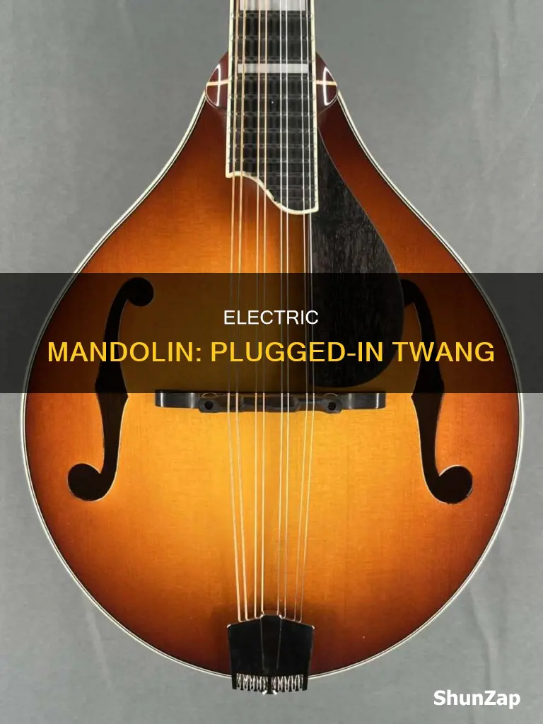 what does an electric mandolin sound like