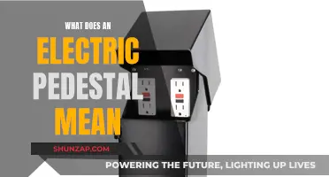Electric Pedestals: Understanding Their Purpose and Functionality