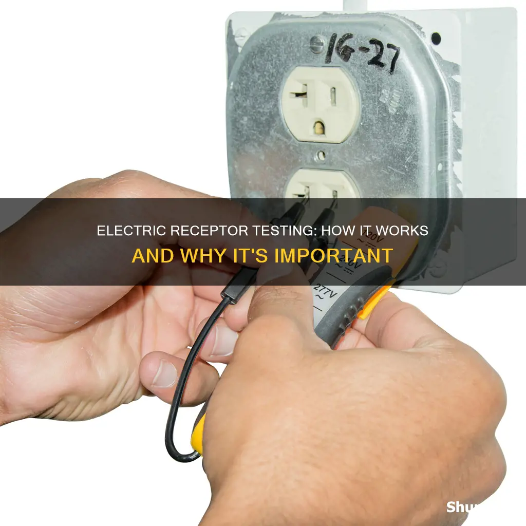 what does an electric receptor tester do
