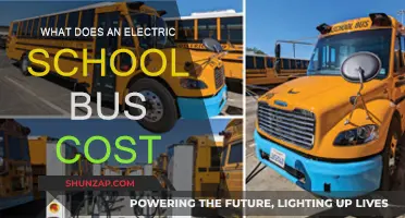Electric School Bus Costs: How Much?