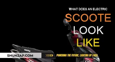 Electric Scooters: What's Their Design?