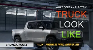 Electric Trucks: The Future of Transportation?