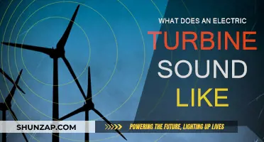 The Electric Turbine's Unique Sound Signature