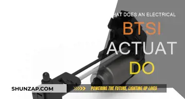 Actuators: Understanding the Role of Electrical BTSI Actuators