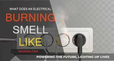 Electrical Burning: What's That Smell?