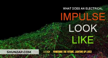 How Electrical Impulses Work and What They Look Like