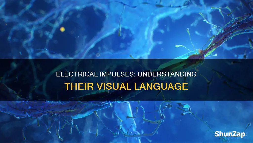 what does an electrical impulse looklin mean