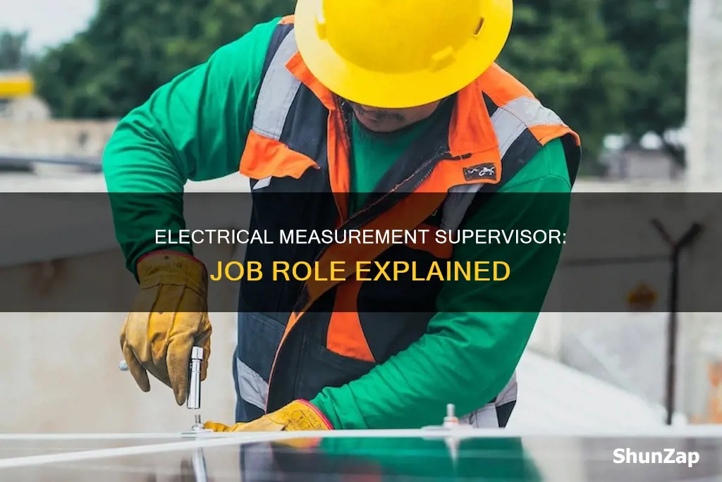 what does an electrical measurement supervisor do