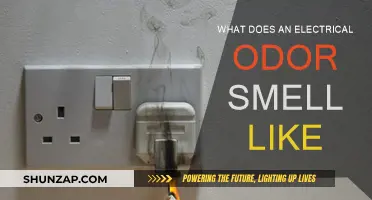 Electrical Odor: What's That Burning Smell?