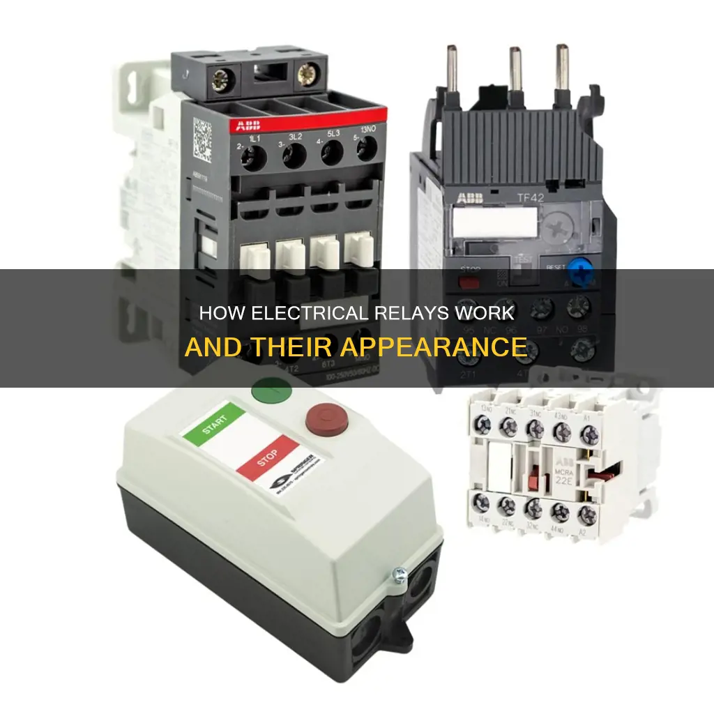 what does an electrical relay look like