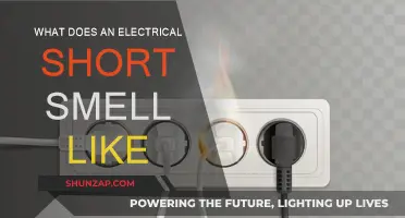 Electrical Short: The Smell of Danger