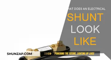 How Electrical Shunts Work and Their Appearance