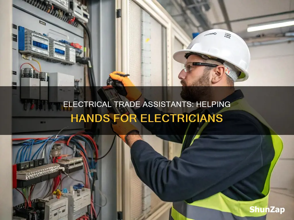 what does an electrical trade assistant do