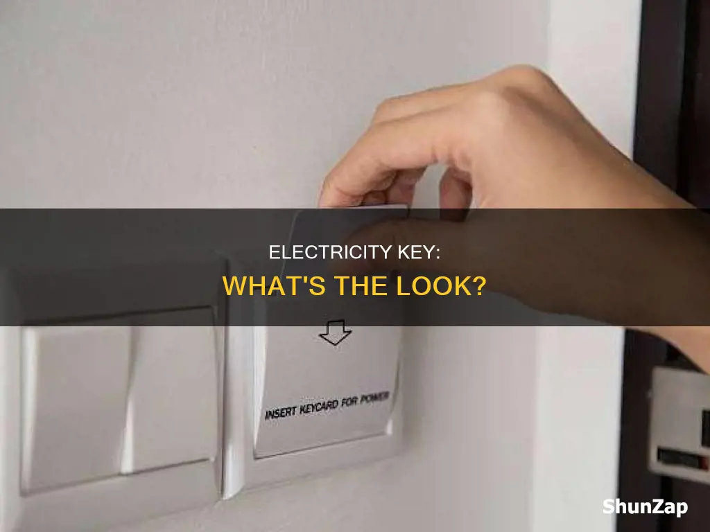 what does an electricity key look like