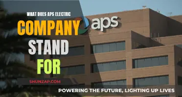 APS Electric Company: What Does APS Stand For?