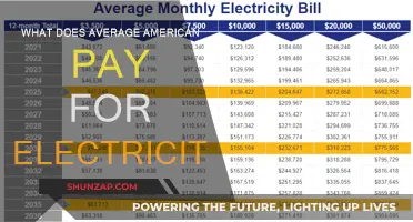 Electricity Costs: The Average American's Expense