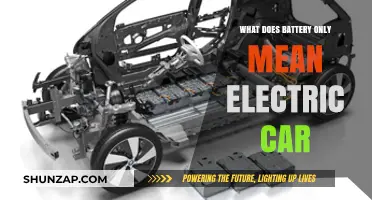 Battery-Only Electric Cars: Understanding Their Power Source and Benefits