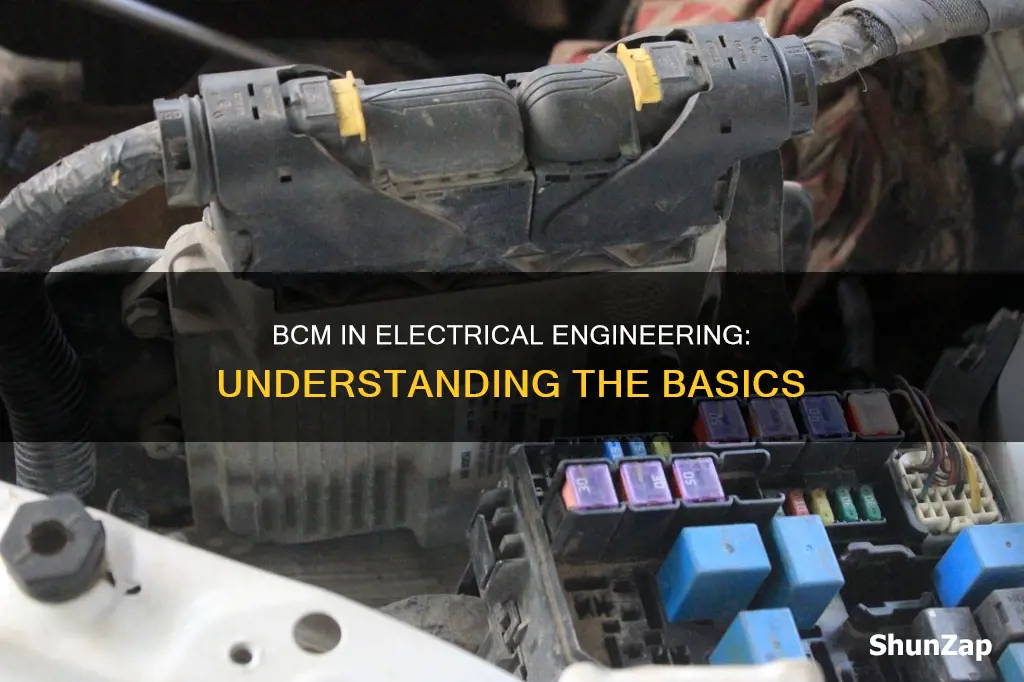what does bcm mean in electrical