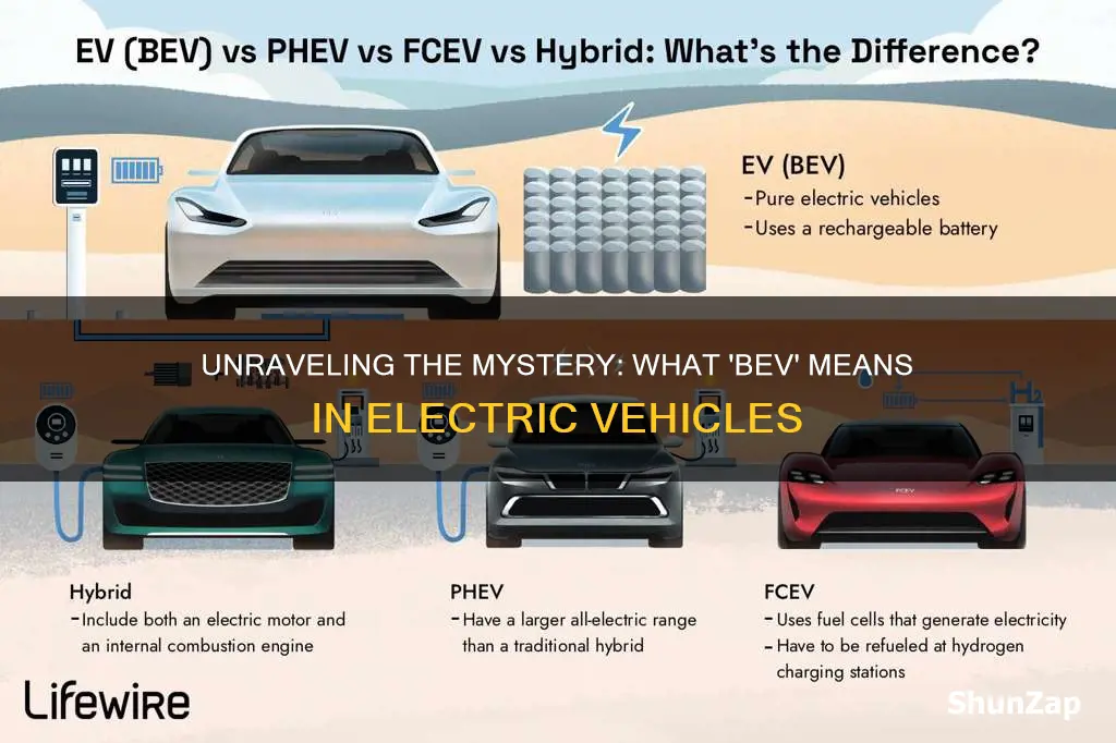 what does bev mean electric vehicle