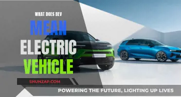 Electric Vehicle Bev: What Does It Mean?