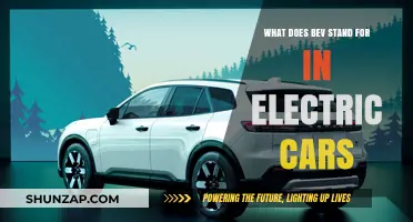 Understanding BEV: What Does BEV Stand for in Electric Cars?