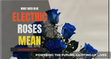 Electric Blue Roses: A Unique and Captivating Meaning
