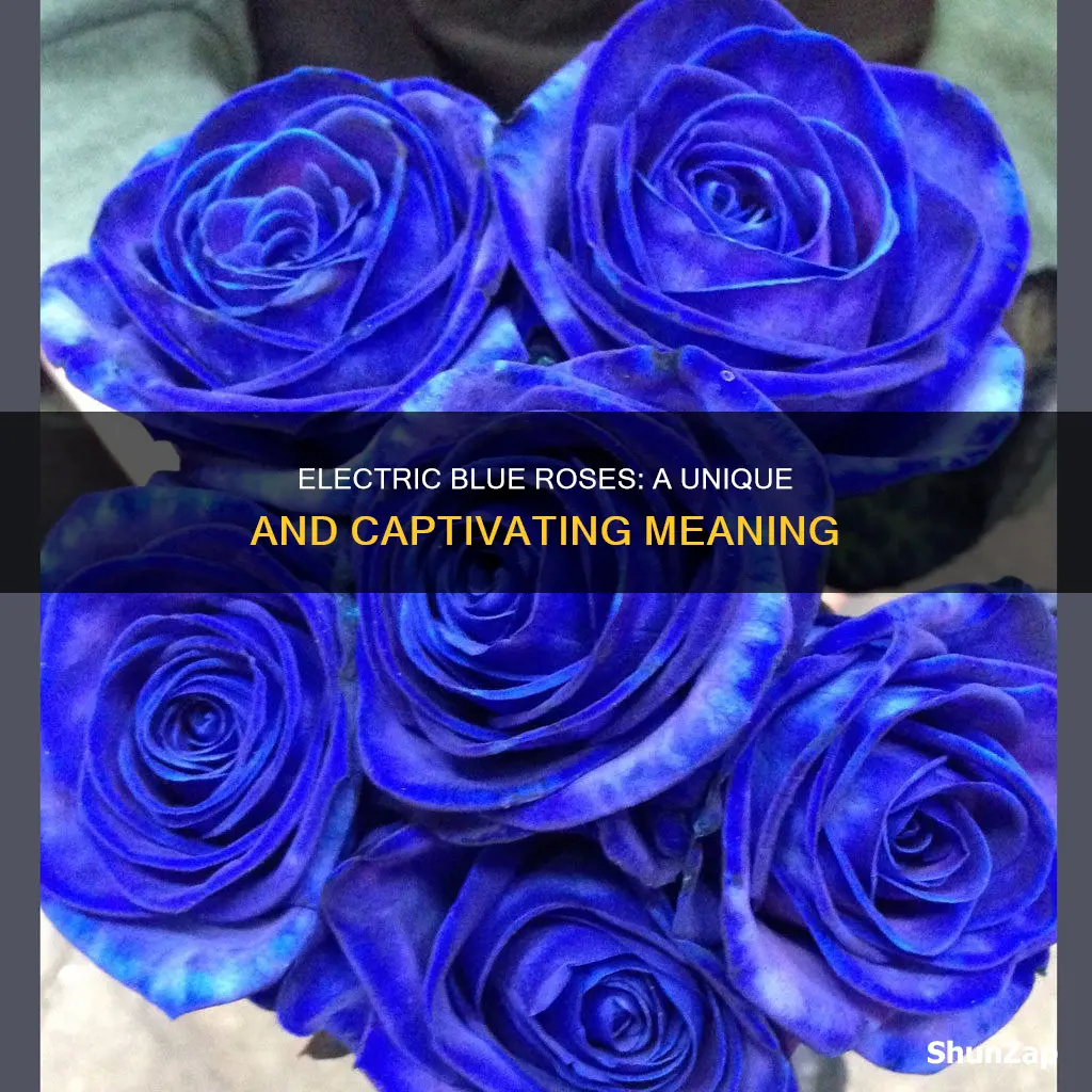 what does blue electric roses mean