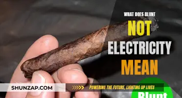 Understanding Blunt's "Not Electric" Creative and Musical Process
