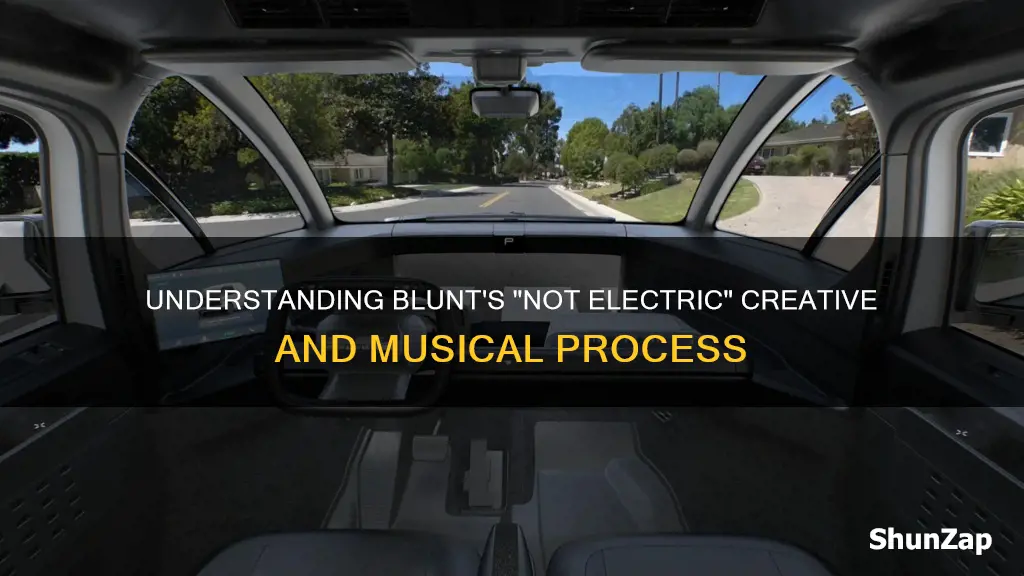 what does blunt not electricity mean