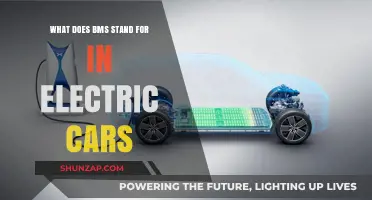Understanding BMS: The Role of Battery Management Systems in Electric Vehicles
