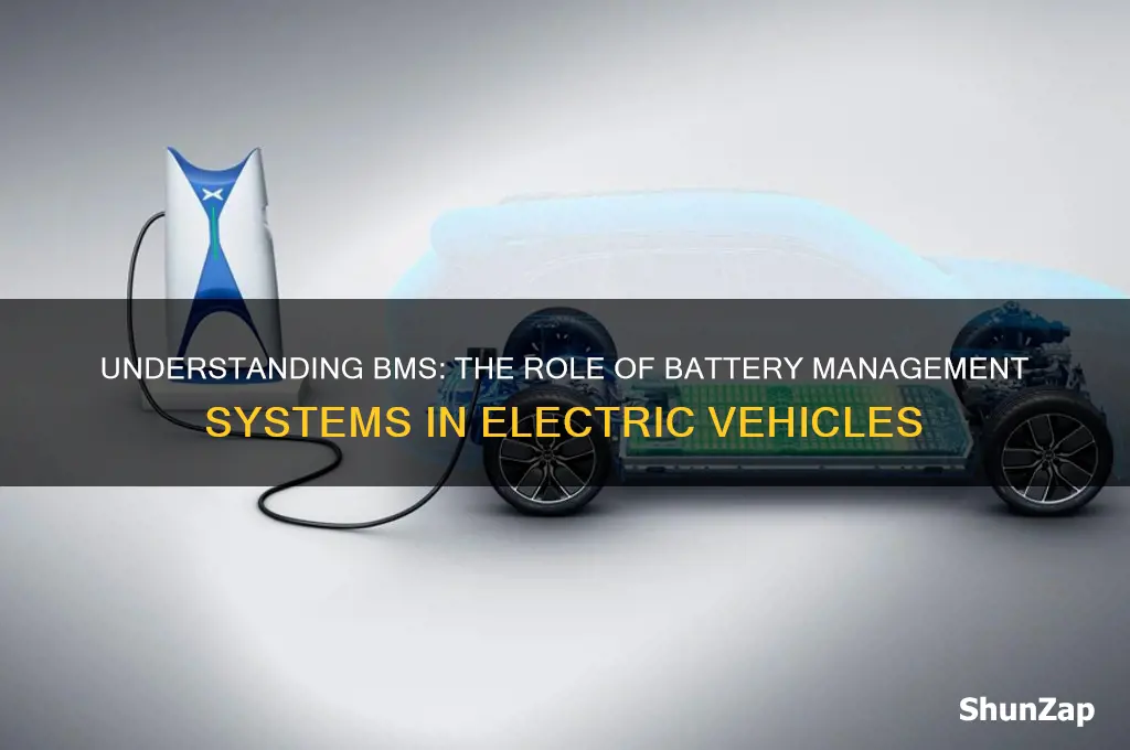 what does bms stand for in electric cars