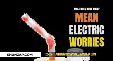 Boba Douce: Electric Worries and Their Meaning