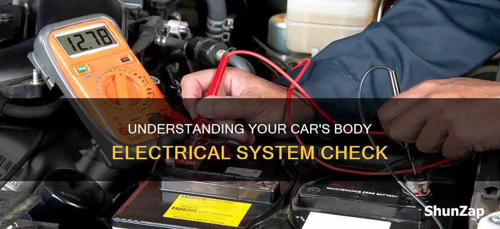what does body electrical system checked mean