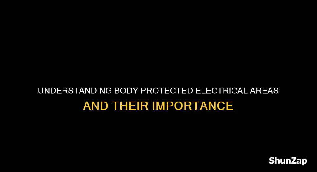 what does body protected electrical area mean