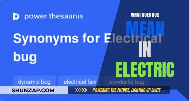 Electric Bugs: What Do They Mean?