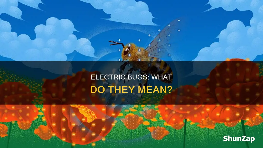 what does bug mean in electric