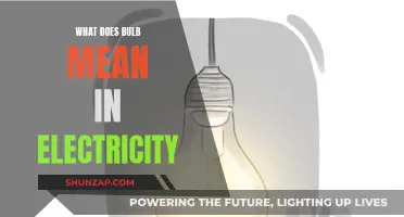 Electric Bulbs: Their Meaning and Functionality Explained