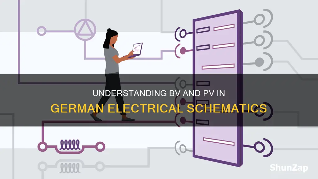 what does bv pv mean on a german electrical schematic