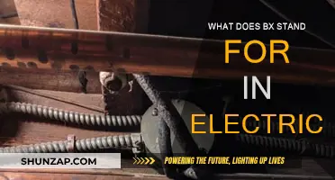 BX Cables: Understanding Their Use and Significance