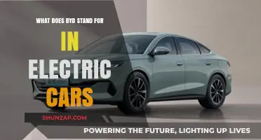 What Does BYD Stand For? Unlocking the Electric Car Brand's Meaning