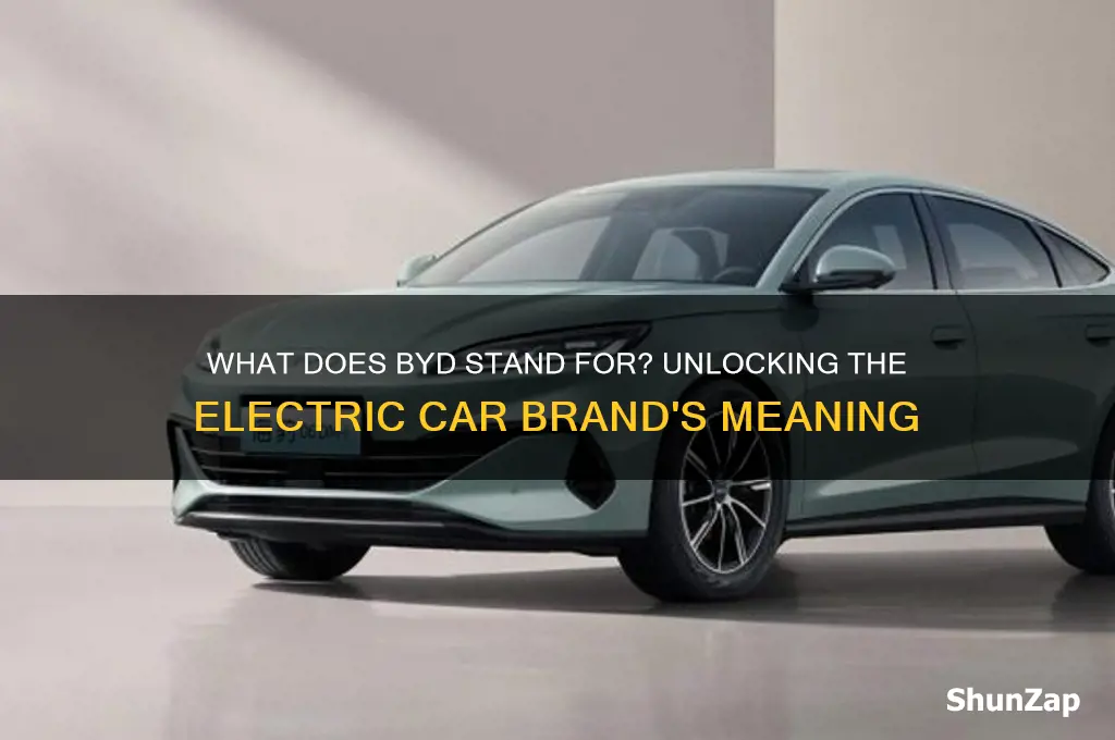what does byd stand for in electric cars