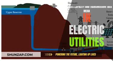Understanding Electric Utility Tags: Capacity and Transmission Explained