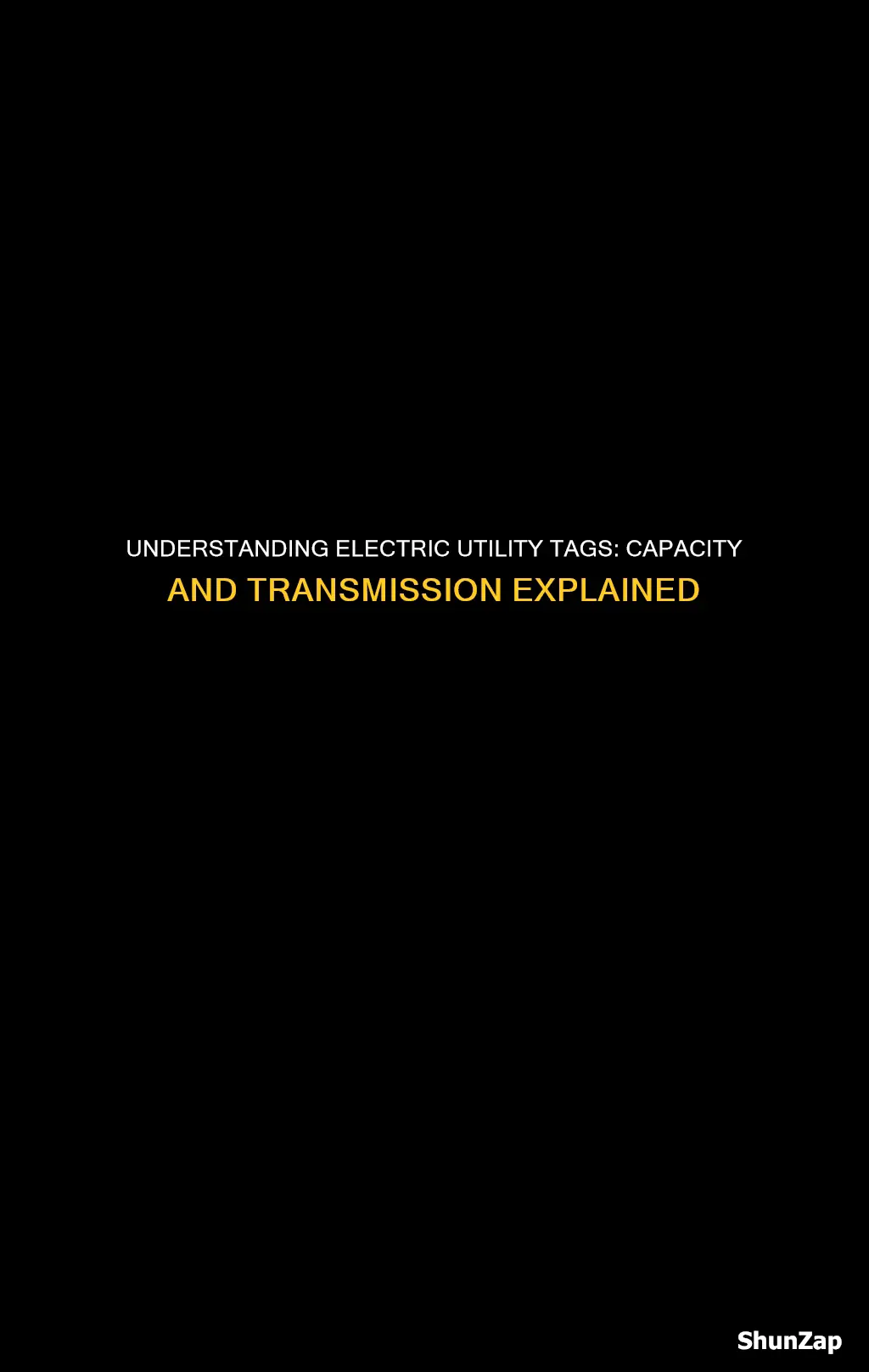 what does capacity and transmission tags mean in electric utilities