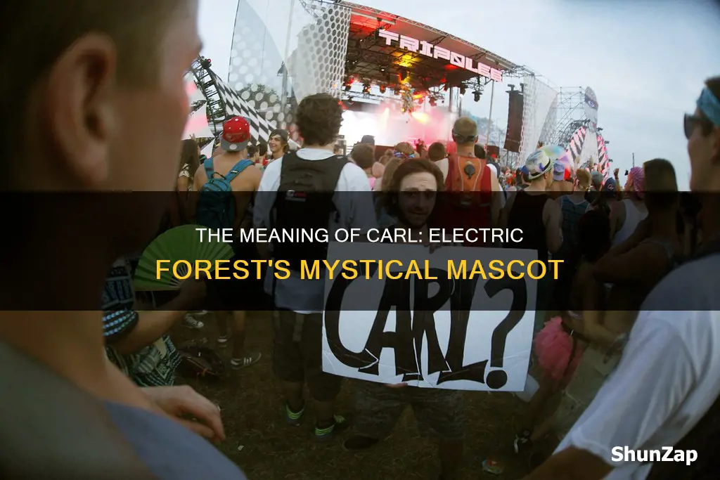 what does carl mean at electric forest