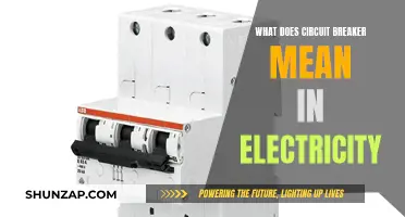 Circuit Breakers: Safeguarding Electricity Flows