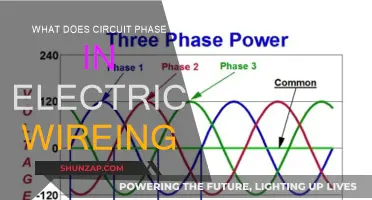 Understanding Electric Circuit Phases: Powering Your Home