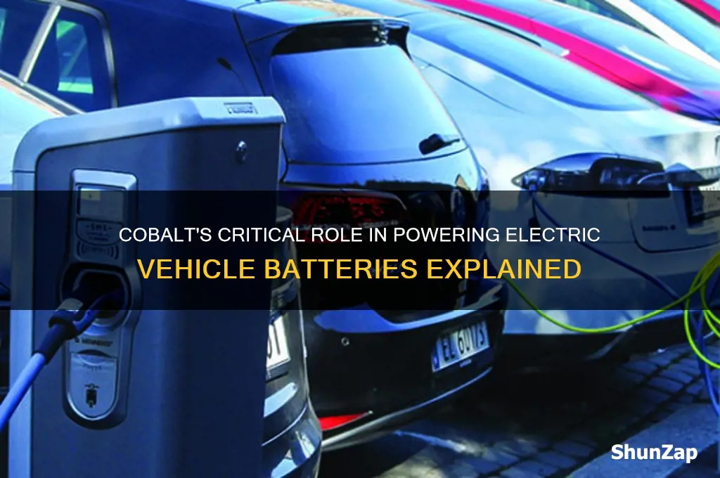 what does cobalt have to do with electric cars