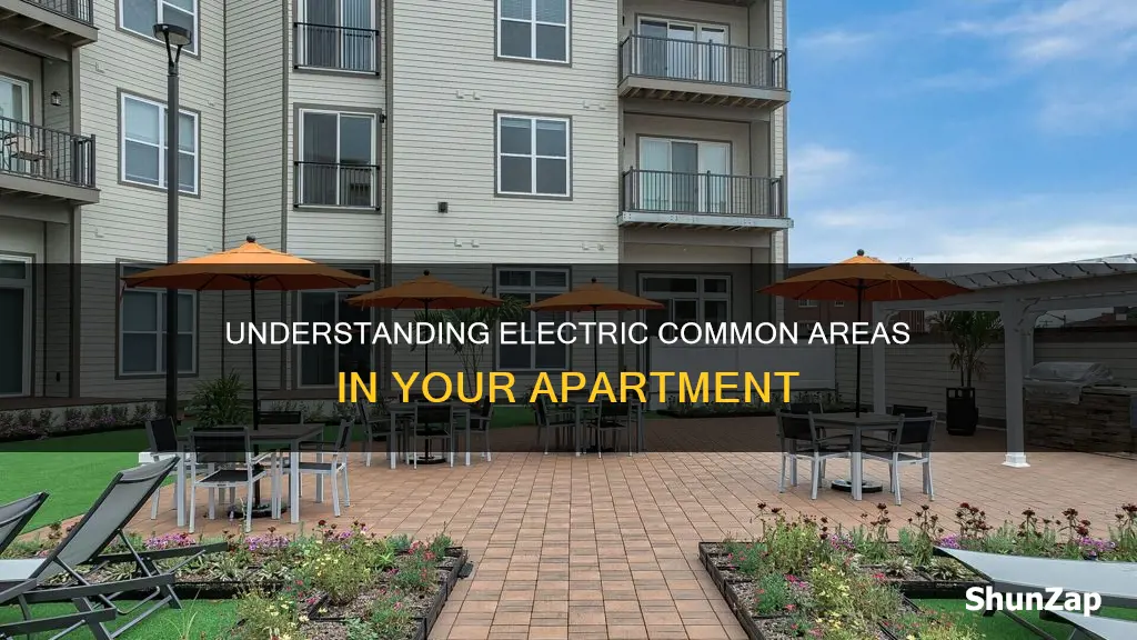 what does common electric mean apartment
